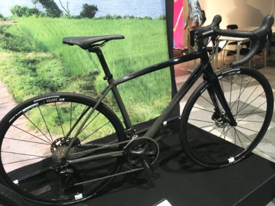 RL6/RL6D FADE STYLE ストーングレー