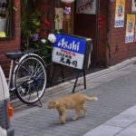 朝練サボり展示会へ