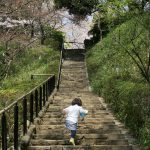 ムスメとお花見