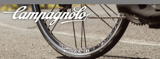 《入荷情報》campagnolo