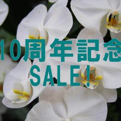 10周年記念SALE開催！