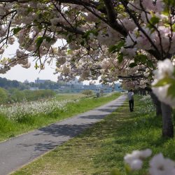 5月分の走行会スケジュール