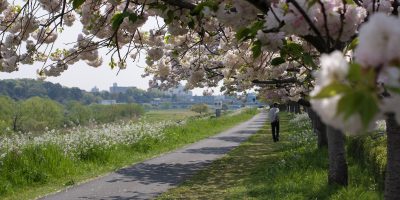 5月分の走行会スケジュール 5月分の走行会スケジュール