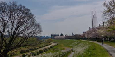 今週末(3/28~29)の営業について 今週末(3/28~29)の営業について