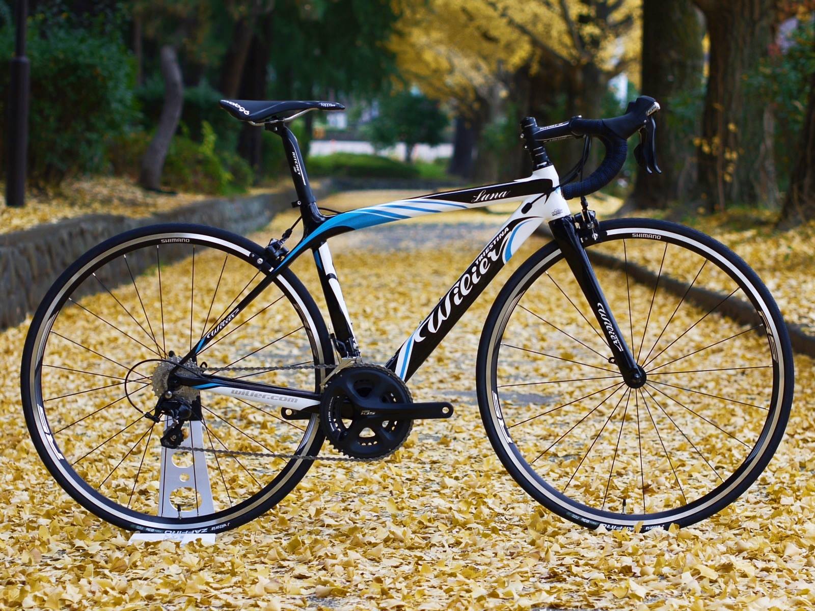 Wilier Luna カーボン納車しました