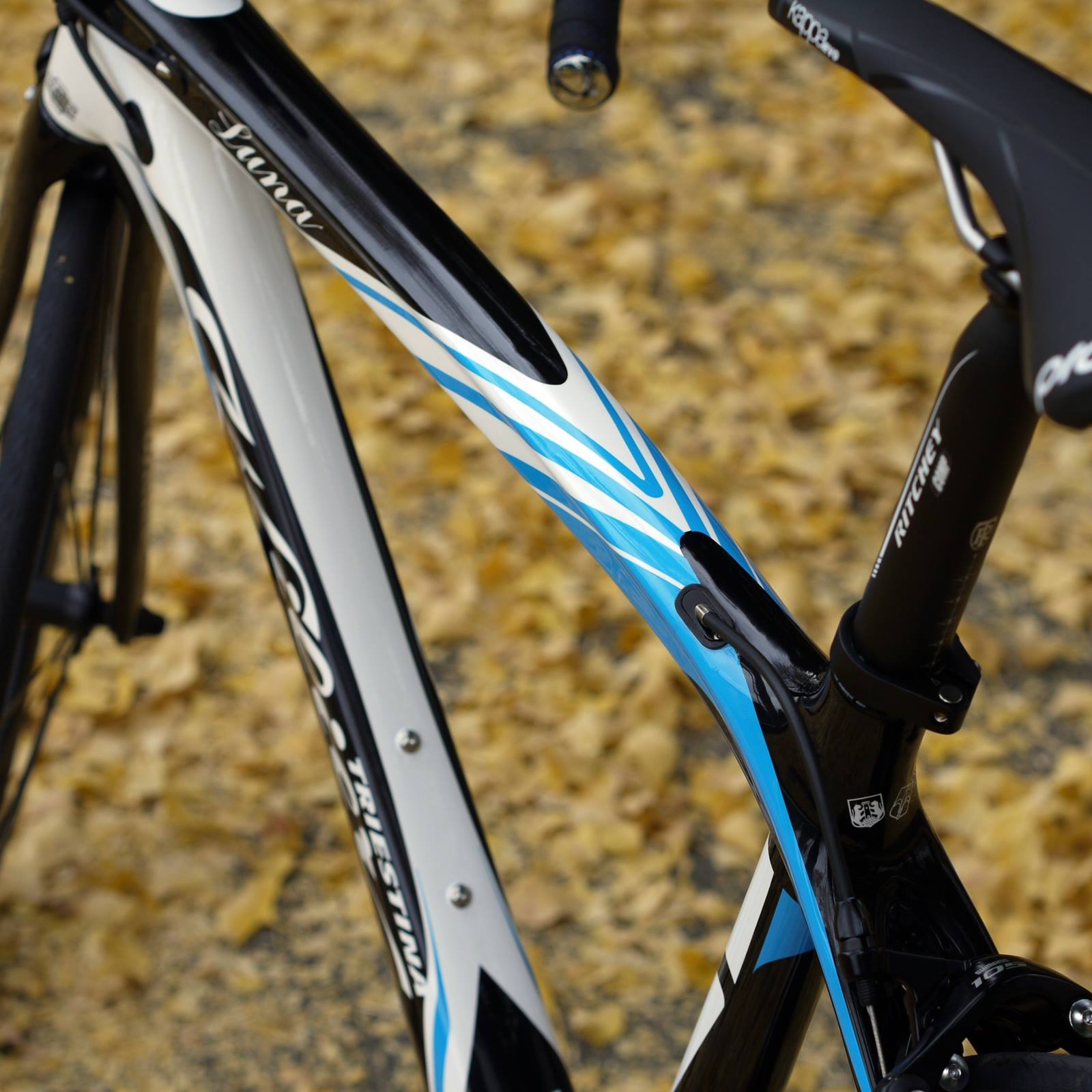 Wilier Luna カーボン納車しました - 画像 (2)