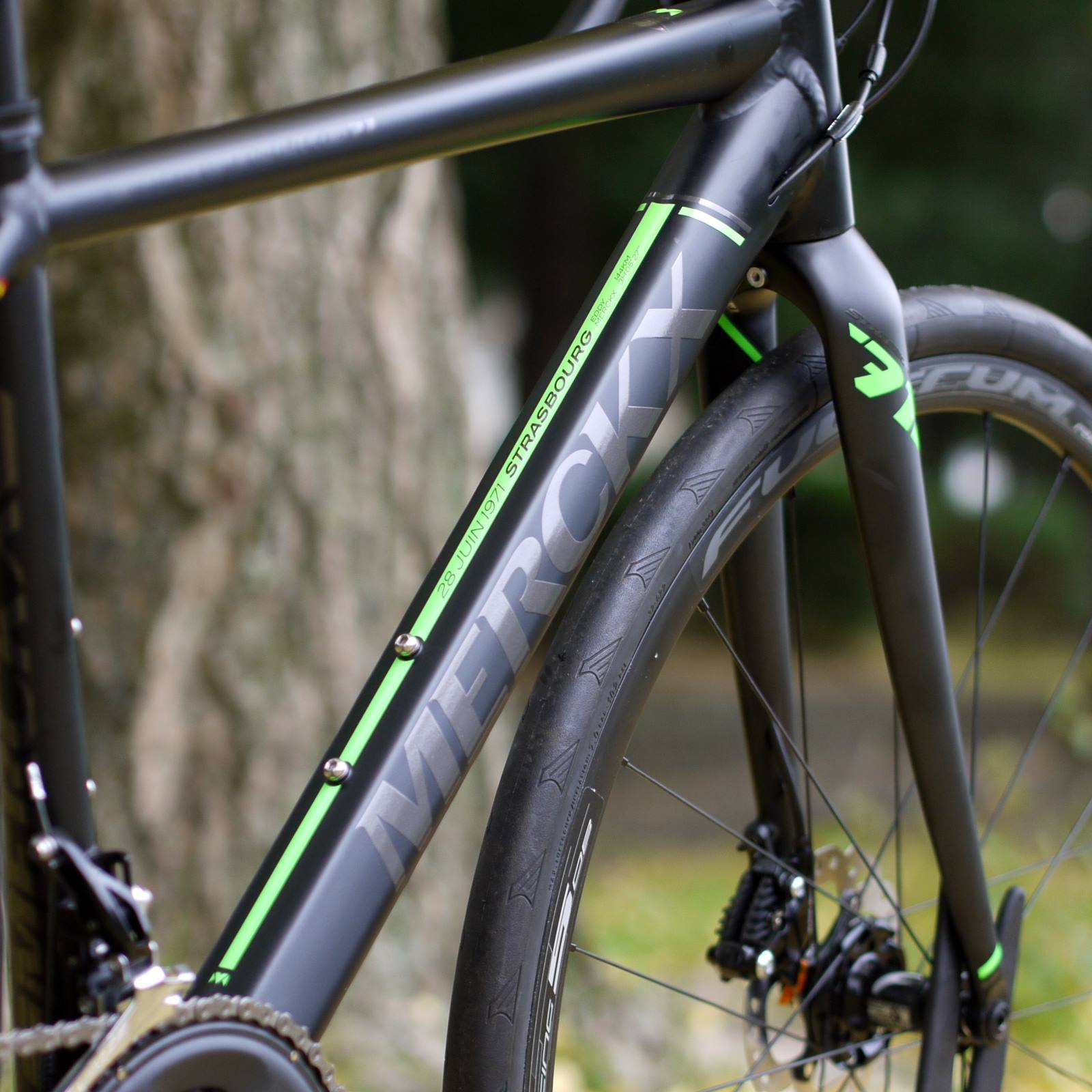 EDDY MERCKX Strasbourg71納車しました - 画像 (3)