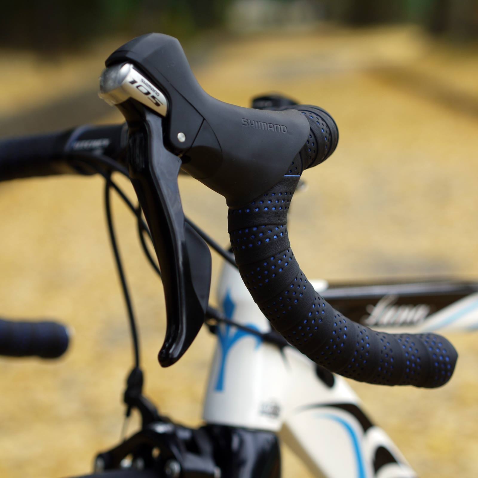 Wilier Luna カーボン納車しました - 画像 (3)