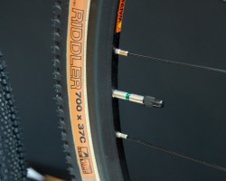 WTB Riddler TCS Light、700 x 37c、チューブレスレディ